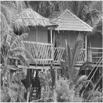 Stay In A Homestay In Morjim Dist Pernem, Goa 2